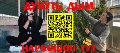 стаф Заводоуковск