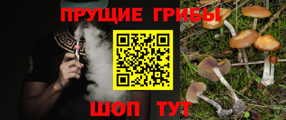 Верхний Уфалей  где купить наркоту  Вход с VPN  Галлюциногенные грибы Magic Shrooms 